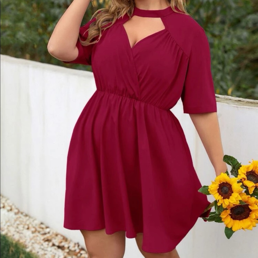 Dark Red Mini